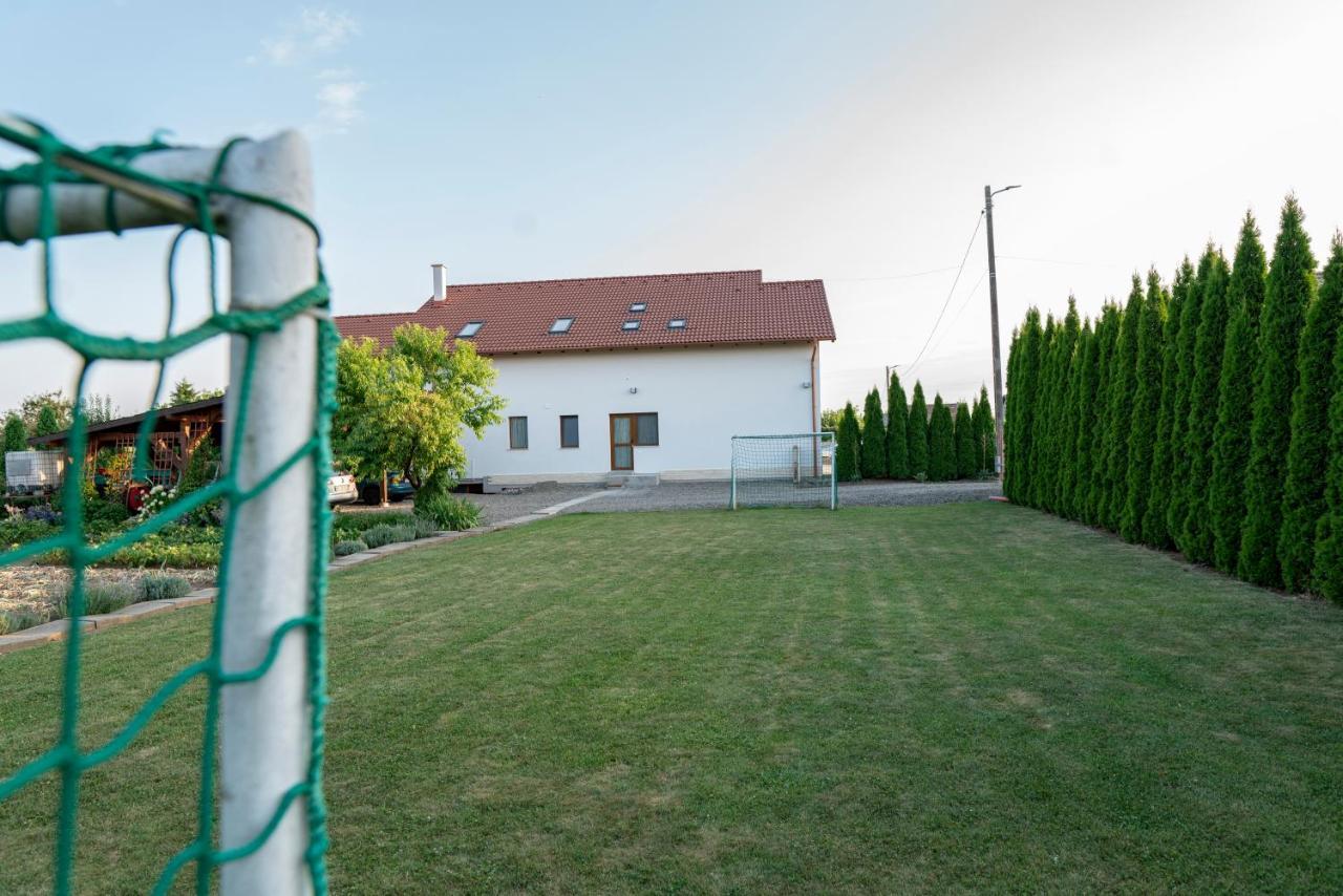 Pensiunea Gassi Sancraiu de Mures Exterior photo